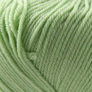 Cascade Yarns 220 Superwash 850 Lime Sherbet