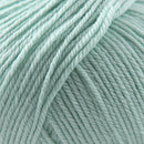 Cascade Yarns 220 Superwash 1942 Mint