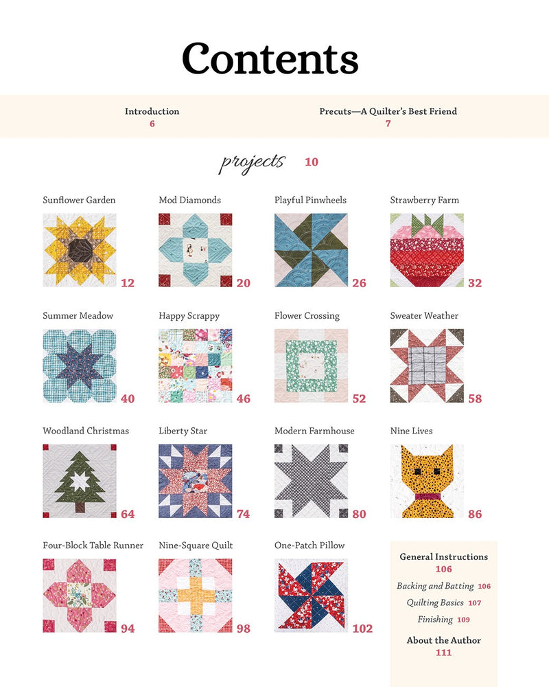 More Playful Precut Quilts