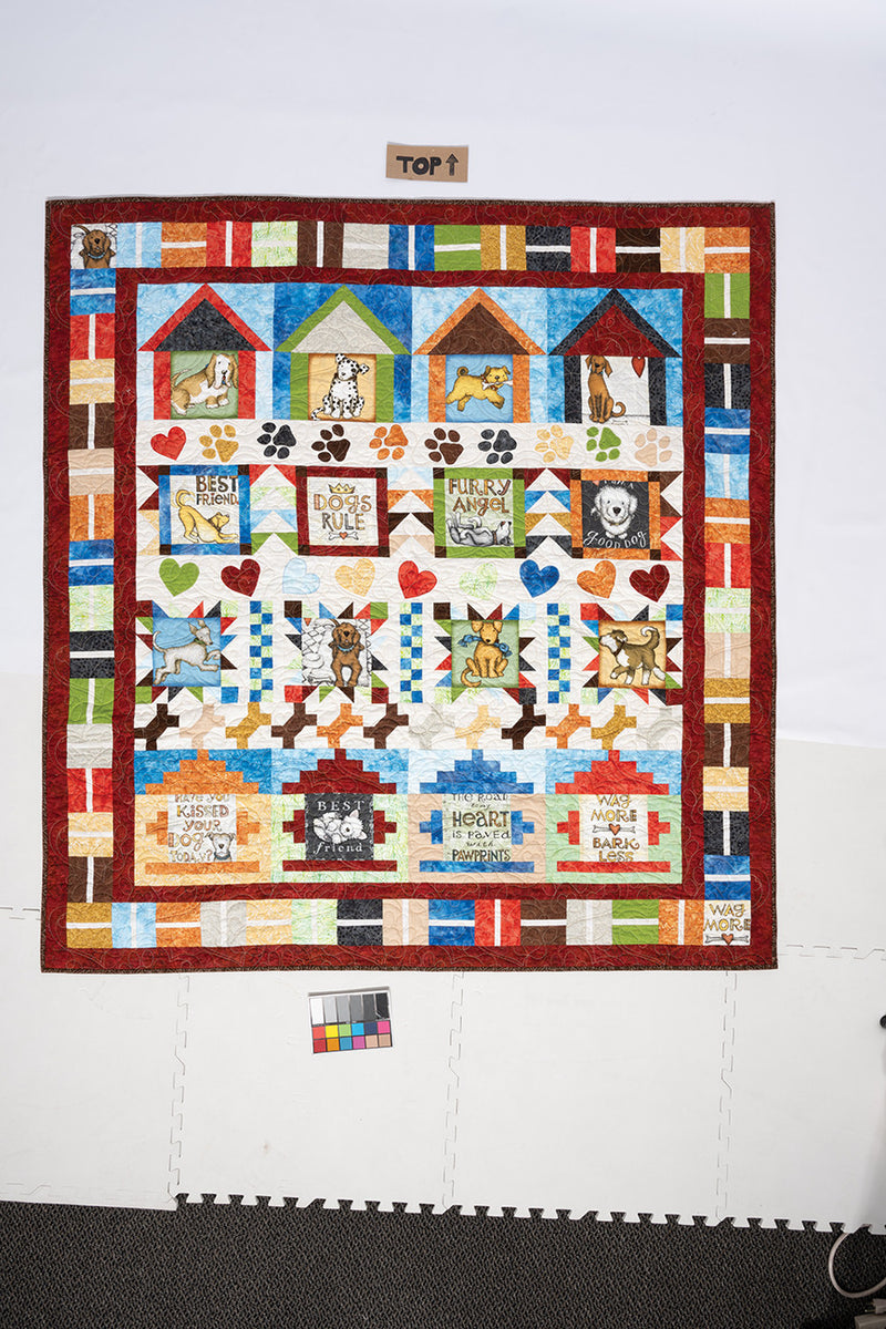 Playful Panel Quilts Book