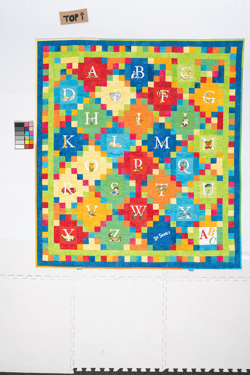 Playful Panel Quilts Book