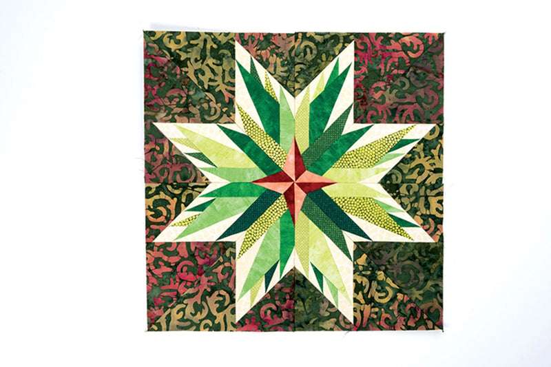 Carol Doak's Starry Block Of The Month