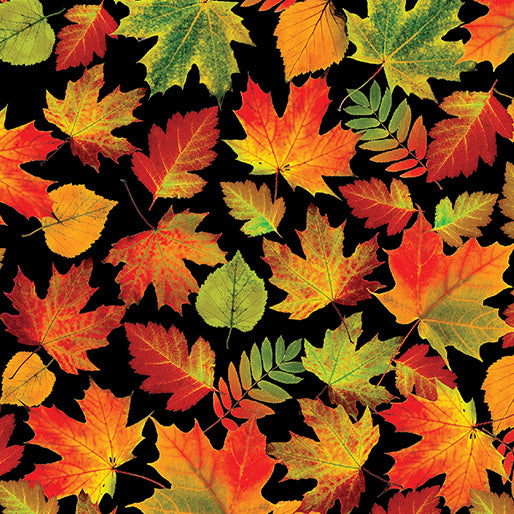 Benartex Cider House Autumn Leaves Black Fabric