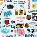 Benartex Harry Potter Words Sky Blue Fabric