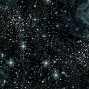 Benartex Magical Basics Magic Stars Charcoal Fabric