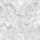 Oasis Fabrics Nebula Silver 118" Wide Back Fabric