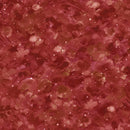 Oasis Fabrics Clouds Brick 118" Wide Back Fabric