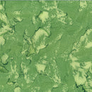 Hoffman Fabrics Batik Watercolors 269 Catepillar Fabric