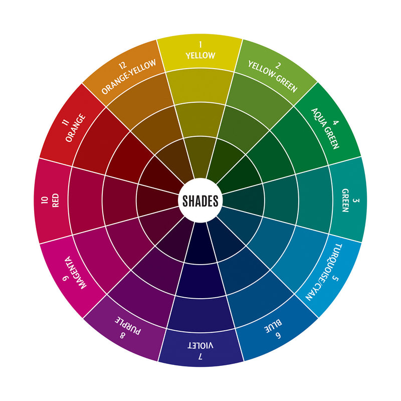 Palette Builder Color Wheel