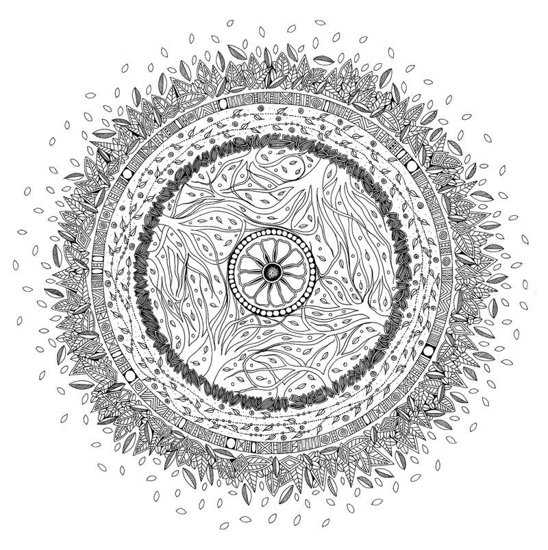 Enchanted Grove Mandala Coloring Book