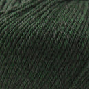 Cascade Yarns 220 Superwash 1918 Shire