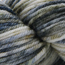 Cascade Yarns 220 Superwash Handpaints 1001 Sage Brush Yarn