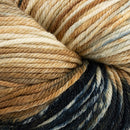 Cascade Yarns 220 Superwash Handpaints 1024 Tortoiseshell Yarn