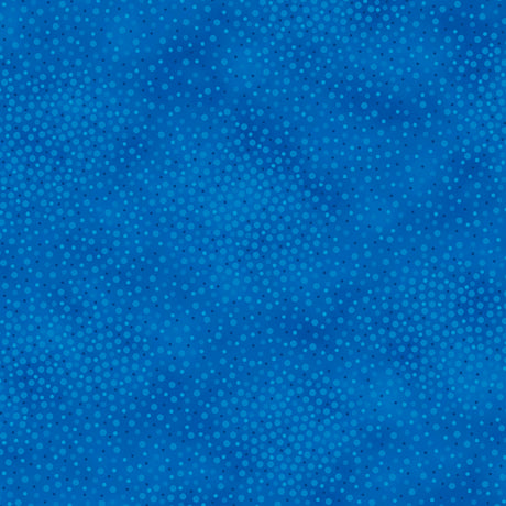 Quilting Treasures Spotsy BW Blue Fabric