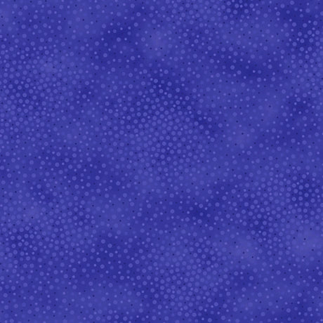 Quilting Treasures Spotsy WY  Blue Fabric