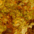 QT Fabrics Mixology Stir Amber Fabric