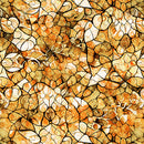 QT Bohemian Sunrise Celestial Blender Brown Fabric