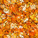 QT Bohemian Sunrise Celestial Blender Orange Fabric