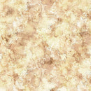 QT Stormwashed Blender EA Sand Wash Fabric