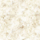 QT Stormwashed Blender E Birch Mist Fabric