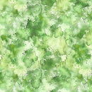 QT Stormwashed Blender H Faded Fern FabricQT Stormwashed Blender H Faded Fern Fabric