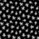 Blank Quilting Let's Glow Crazy Fireflies Glow In The Dark Black Fabric