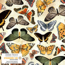 Stof Vintage Windflower Big Butterflies Cream Fabric
