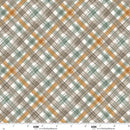 Blank Quilting Wild And Free Plaid Multi Fabric