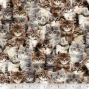 Windham Fabrics One Of A Kind Kittens Fabric