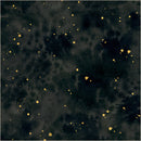 Windham Fabrics Flora & Form Texture Onyx Metallic Fabric