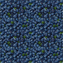 Preorder All New England Shop Hop 2026 Out Of The Blue Fabric
