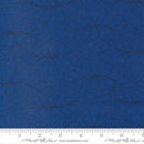 Moda Rainbow Sherbet Feather Arc Blackberry Fabric