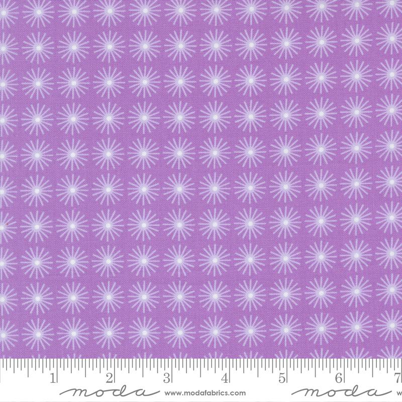 Moda On The Bright Side Passion Fruit Blender Suns Fabric