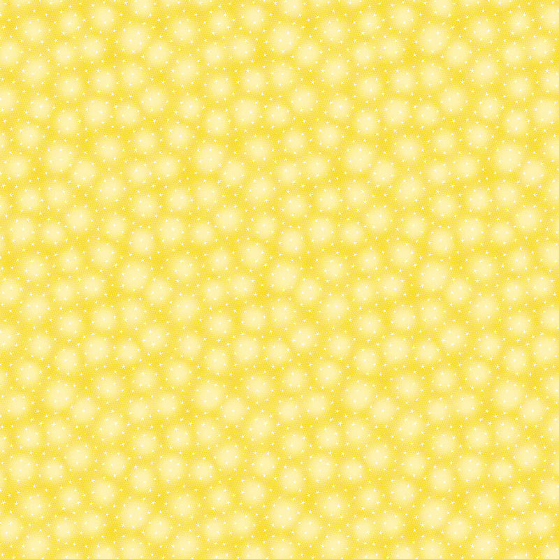 Blank Quilting Starlet Tonal Sunshine Fabric