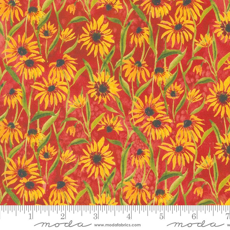 Moda Floribunda Blackeyed Suzie Q Spice Fabric