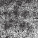 Andover Dimples Black Ice Black And White Fabric