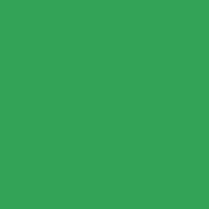 David Textiles Green Flannel Fabric