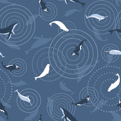 Studio E Polar Plungers Orcas Minis Blue Fabric