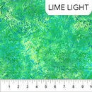 Northcott Banyan BFF's Lime Light Batik Fabric