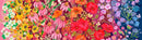 Moda Superbloom Wildflowers Ombre Jewel Fabric