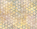 Northcott Midnight Savanna II Star Putty Batik Fabric