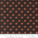 Moda Night Owl Snails Midnight Fabric