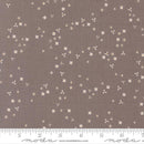 Moda In The Garden Flutter Blender Slate Fabric