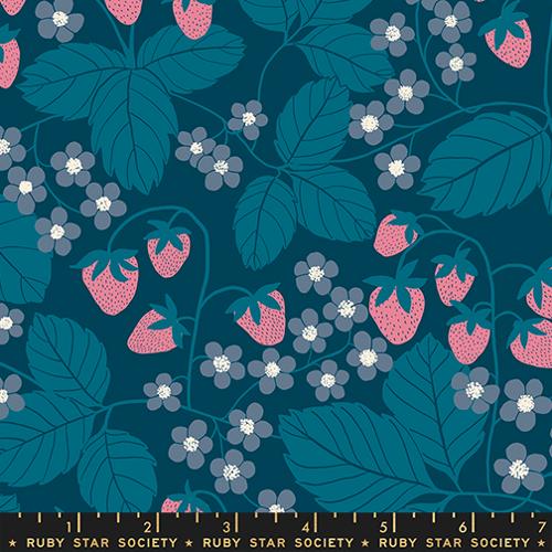 Ruby Star Society Reimagined Landscapes Strawberry Field Galaxy Fabric