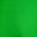 QT Fabrics Feather Flannel Kelly Fabric