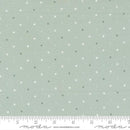 Moda True Love Magic Dot Robin's Egg Fabric