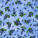 Robert Kaufman Garden Goodness Blueberry Fabric