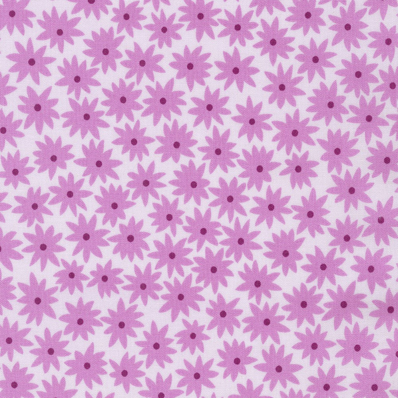 Robert Kaufman Paintbox Daisies Orchid Fabric