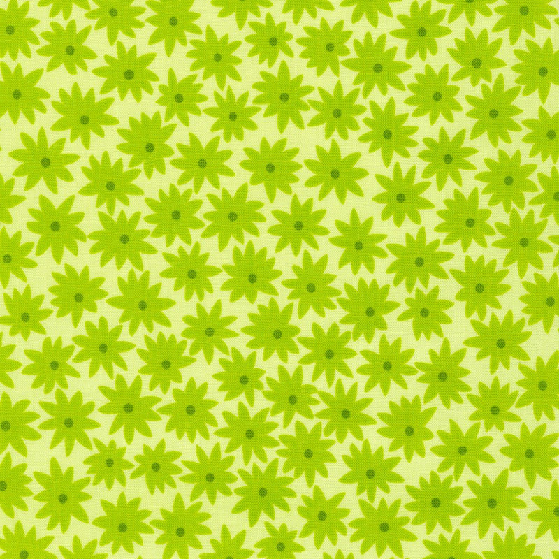 Robert Kaufman Paintbox Daisies Summer Pear Fabric