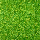 Riley Blake Expression Batiks Rainbow Brights Green Apple Fabric